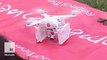 Drone delivers abortion pills to Northern Irish women