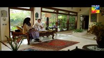 Sawaab Episode 18 Full HD HUM TV Drama 24 June 2016