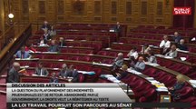 Loi travail au sénat : 