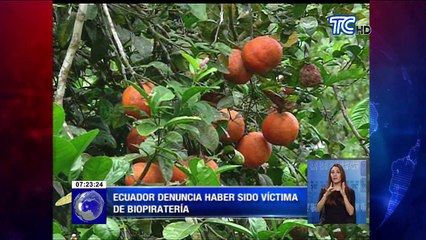 Ecuador denuncia haber sido víctima de biopiratería