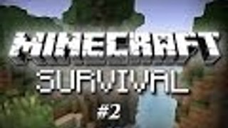 Minecraft-Survival #2 - IRON!