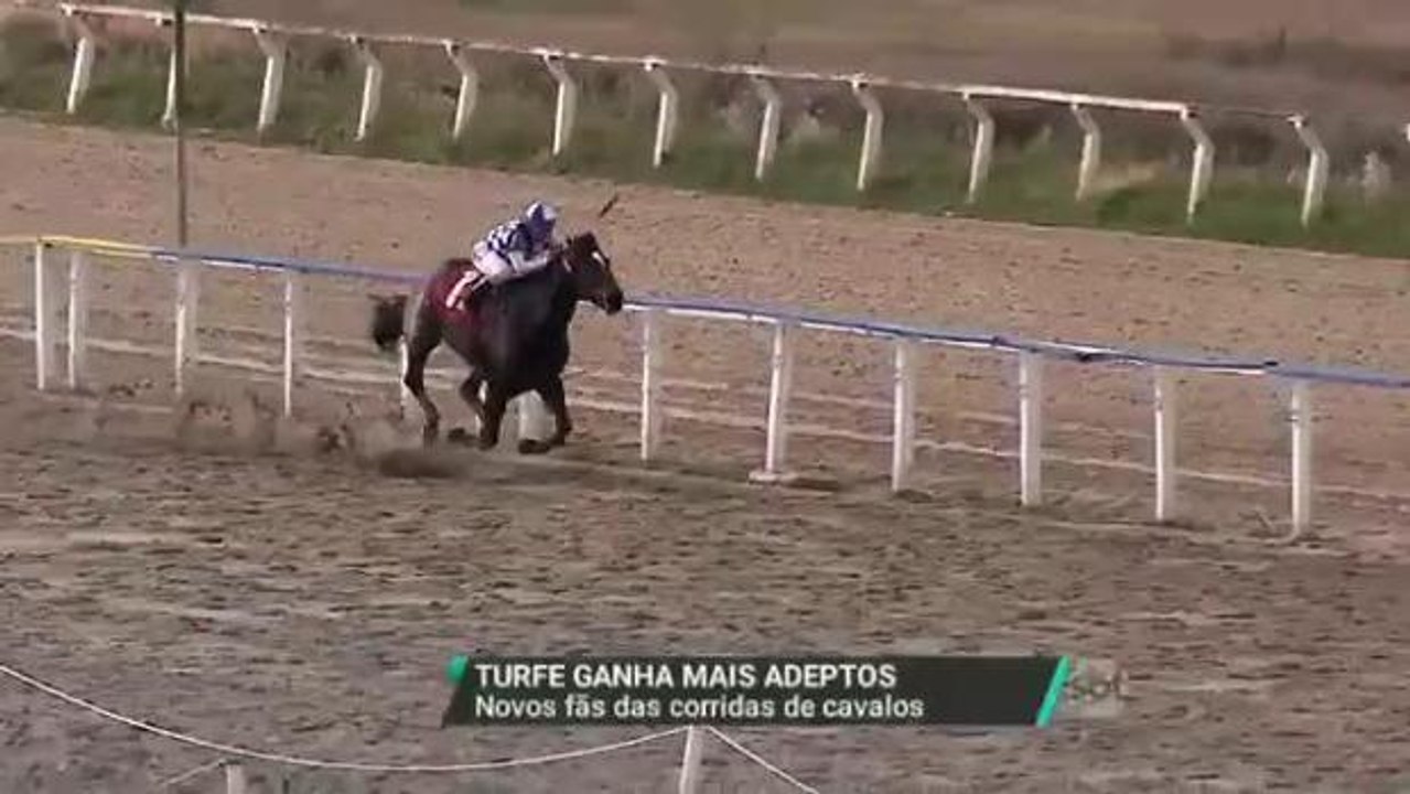 Corrida de cavalos pode ser um programa para toda família