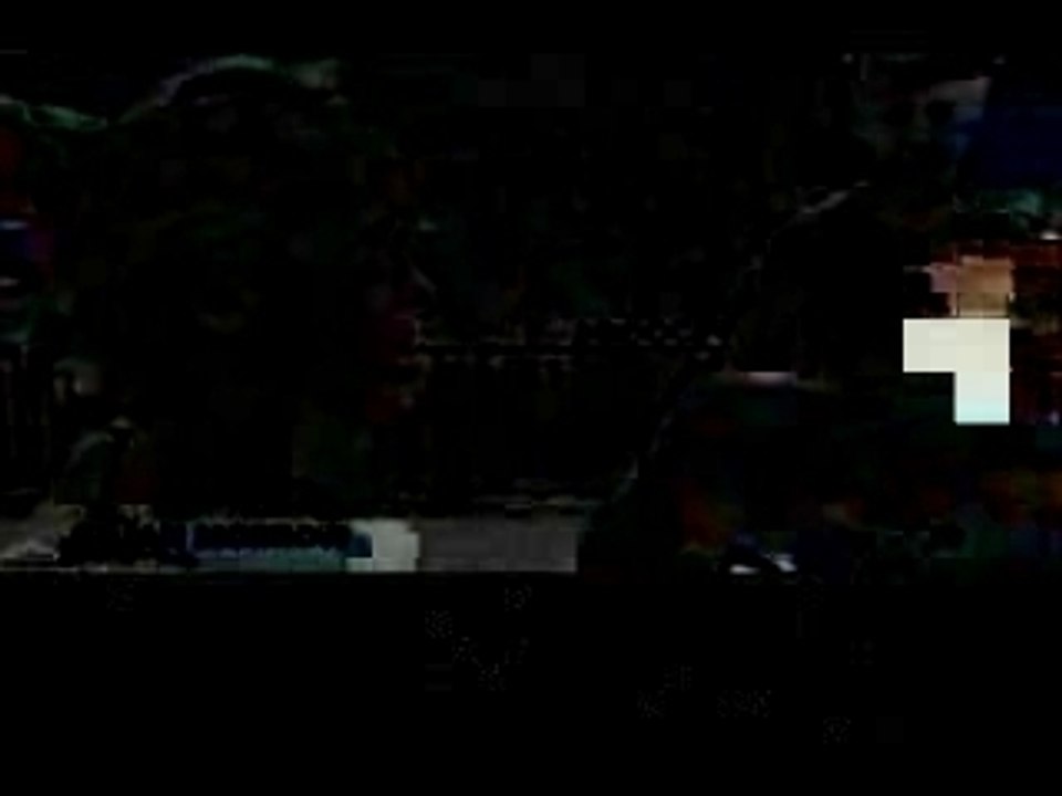 THE FAKE OF NANKING - 1