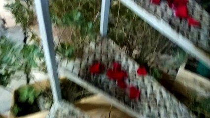 Sa copine lui fait une superbe surprise pour la Saint Valentin