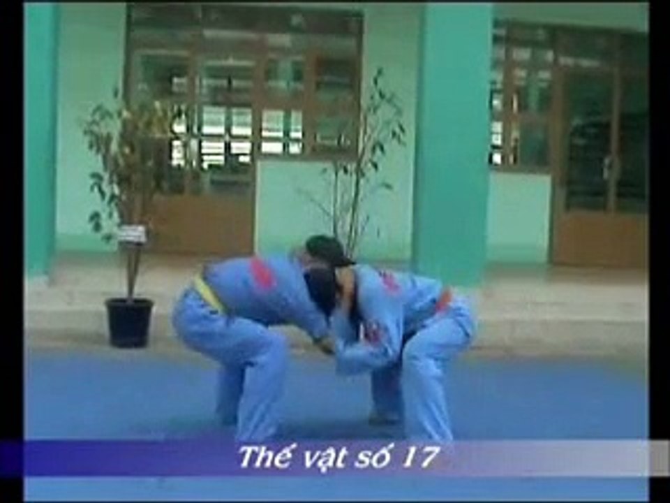 Vovinam: Technique de lutte n°17 – thế vật số 17⎪evovinam.com