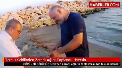 Tarsus Sahilinden Zararlı Ağlar Toplandı - Mersin