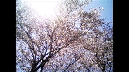 国際基督教大学高等学校校歌 （ICUHS） 合唱＆管弦楽伴奏版、International Christian University High School Song  (Tokyo,Japan)