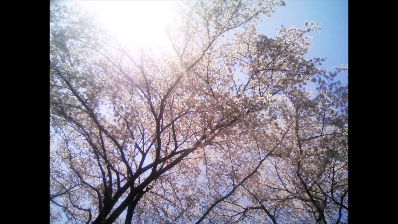 国際基督教大学高等学校校歌 （ICUHS） 合唱＆管弦楽伴奏版、International Christian University High School Song  (Tokyo,Japan)