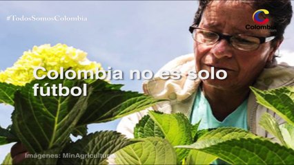 Colombia no es solo fútbol