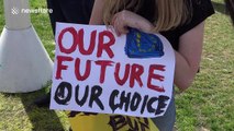 Pro-Europe protesters hit Westminster, London