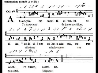 Communio Acceptabis, Dominica XVI TpA (16è TO)