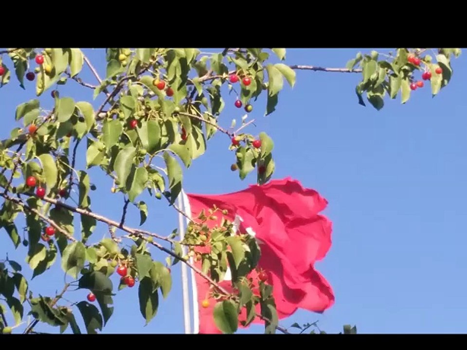 ADNAN ÇİL  SILAYA ÖZLEM