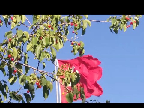 ADNAN ÇİL SILAYA ÖZLEM