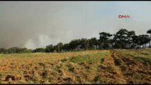 Edirne - Keşan'da Orman Yangını