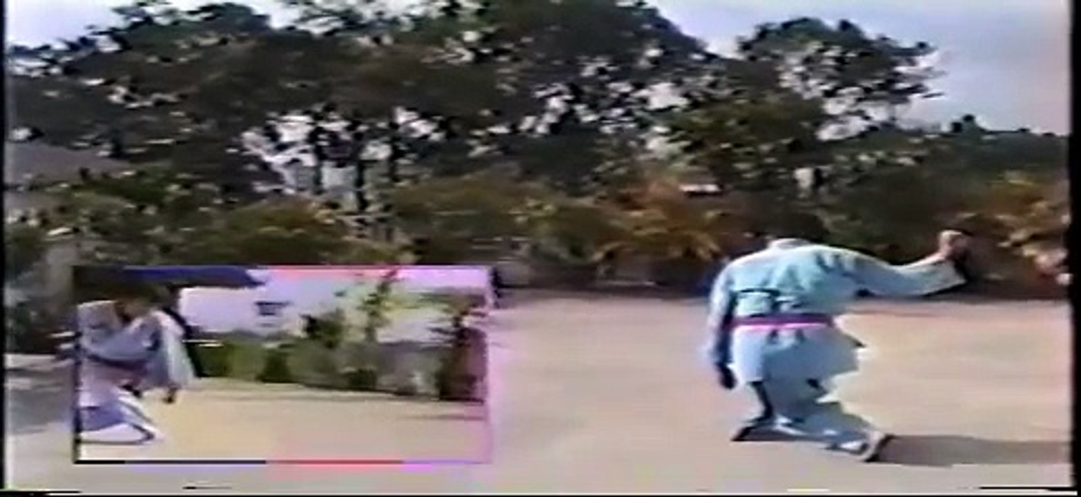 Vovinam: Thập Thế Bát Thức Quyền  (10 techniques de 8 mouvements) ⎪evovinam.com