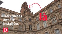 Des abeilles dans la plus haute tour de Toulouse