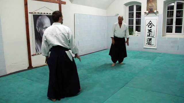 Ryote dori - Sokumen irimi nage