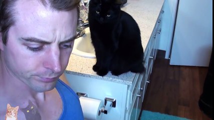 Ultimate Cat Shaming! Funny Cat Video
