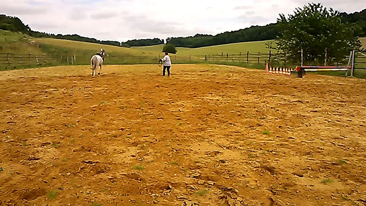 Alienor des Charmes, obstacle en longe 24 juin 2016