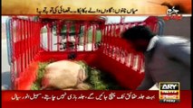 Jurm Bolta Hai 24th June 2016