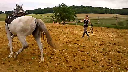 Alienor des Charmes, longe plat 24/06/16