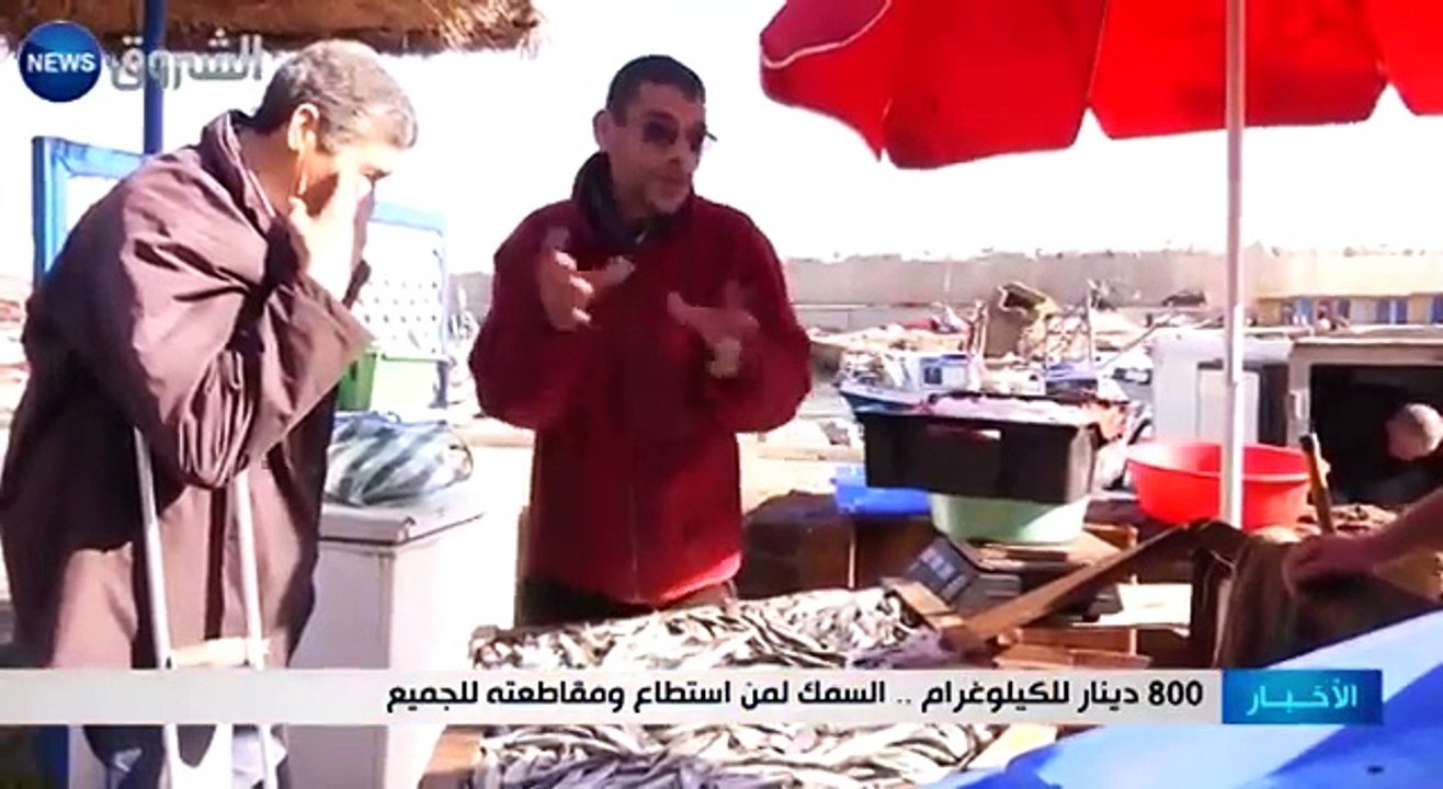 (  -أكل سمك السردين أصبح حلما للجزائري 800 دينار للكيلو(اي 80 درهم  --
