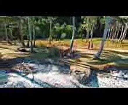 Philippines – Paradise Islands & Beaches | DJI Phantom Drone 3 4K + Osmo | 4K Video | Aeral