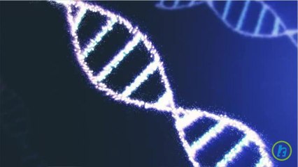 Mitochondrial DNA Is Only Maternal, Scientists Find