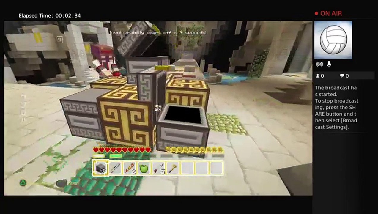 Minecraft (12)