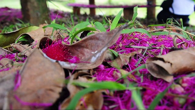 Descobrindo a Rota Imperial - Episódio 3 - Montanhas Capixabas