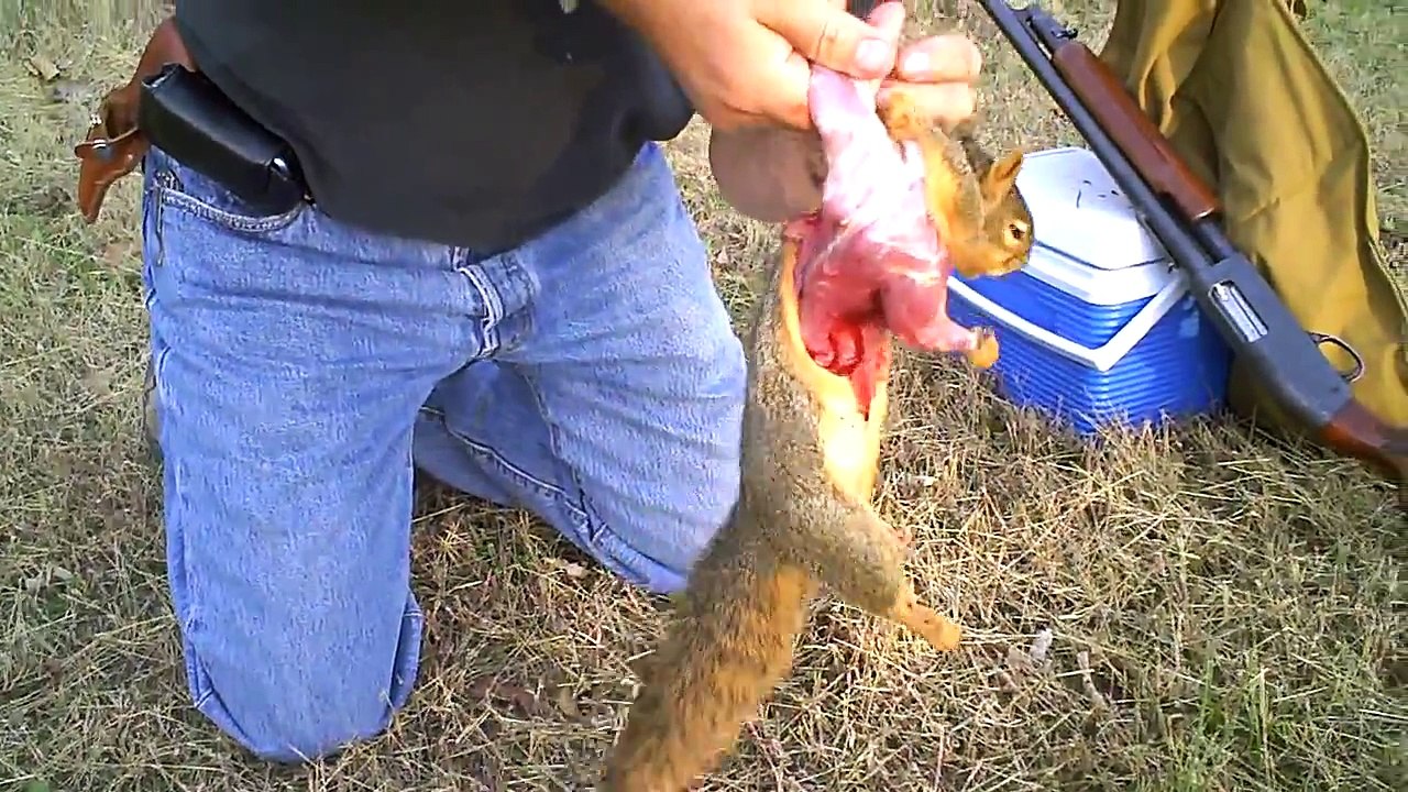 Squirrel Skinner 1