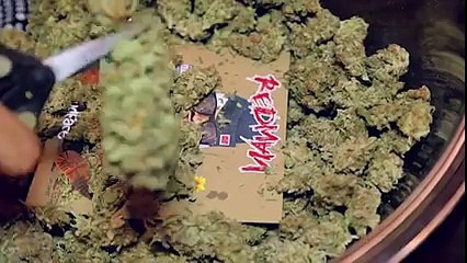 Redman - High 2 Come Down Remix (Official Music Video)