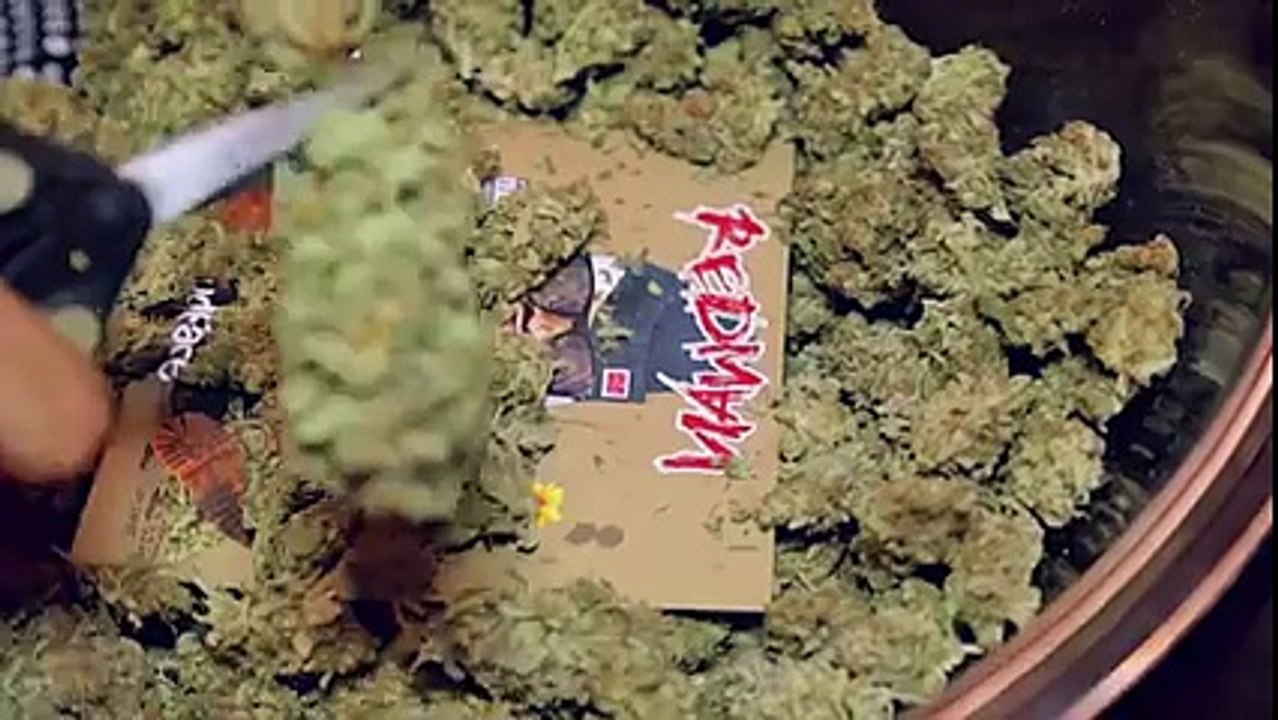Redman - High 2 Come Down Remix (Official Music Video)