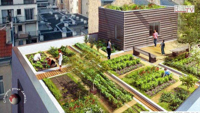 [ Citoyens pour Demain #2 ] Des tomates sur les toits