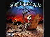 Slightly Stoopid - Closer To The Sun - 10 - Ain't Got A Lot Of Money