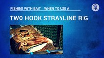 BAIT FISHING: How to put on bait 2 hook strayline rig with pilchard, squid, jack mackerel