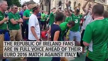Fun and pleasure Irish fans in the streets of France