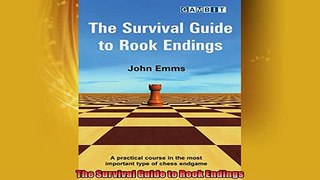 EBOOK ONLINE  The Survival Guide to Rook Endings READ ONLINE