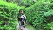 Zoo: premier examen pour le bébé caracal du Jardin des Plantes