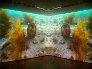 Pipilotti Rist