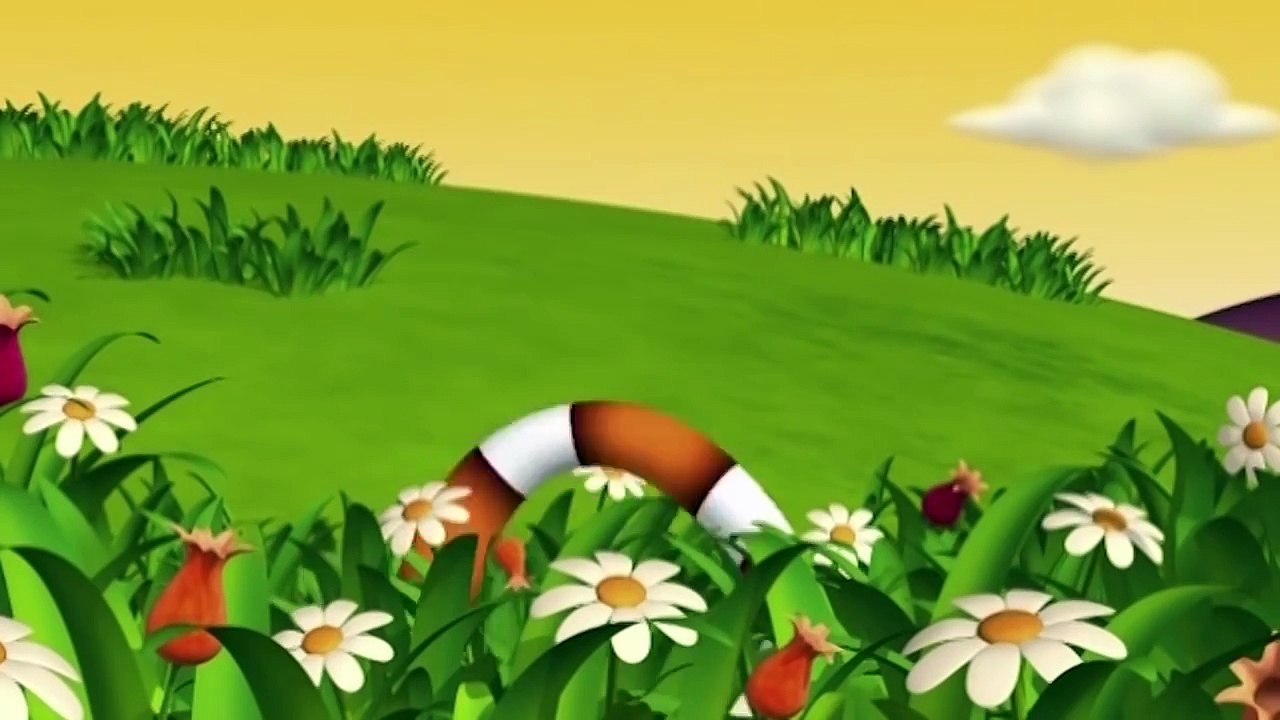 Funny Animals Compilation | Funny Animals Cartoons Compilation Just For Kids Fun