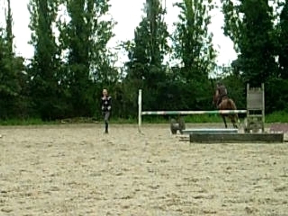 DSCN8124