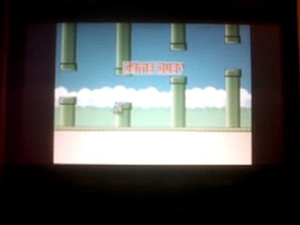 Flappy Bird [Casio Fx-CG 10/20]