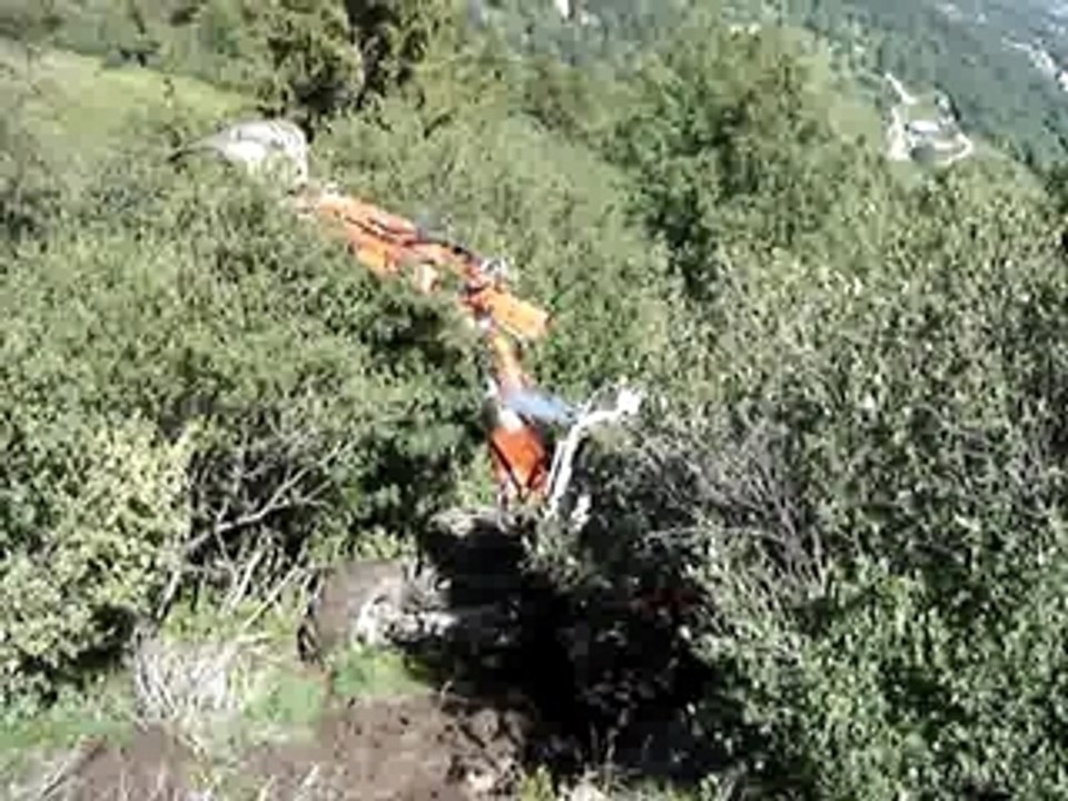 pelle araignée au millieu des arbustes