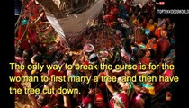 Top 10 Bizarre Wedding Rituals in Various Cultures Most Odd Traditions