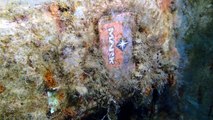WRECK AND TECHNICAL DIVING - ZENOBIA, CYPRUS - DIVE 9 - 16.05.2016