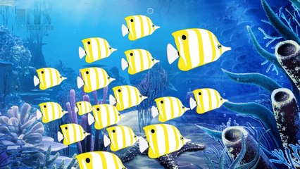 Children Hindi Nursery Rhyme | Machli Jal Ki Rani Hai | Popular Kids Songs