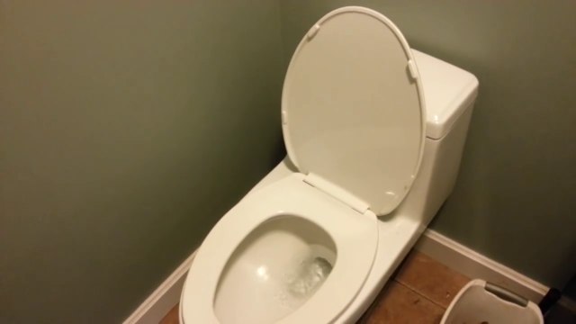 Quand les toilettes du taf font un bruit de poney mort... LOL