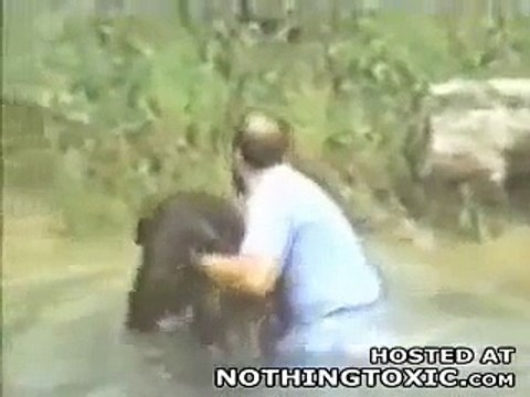 Il saute dans l'enclos d'un zoo pour sauver... un singe qui se noie! Hero du jour