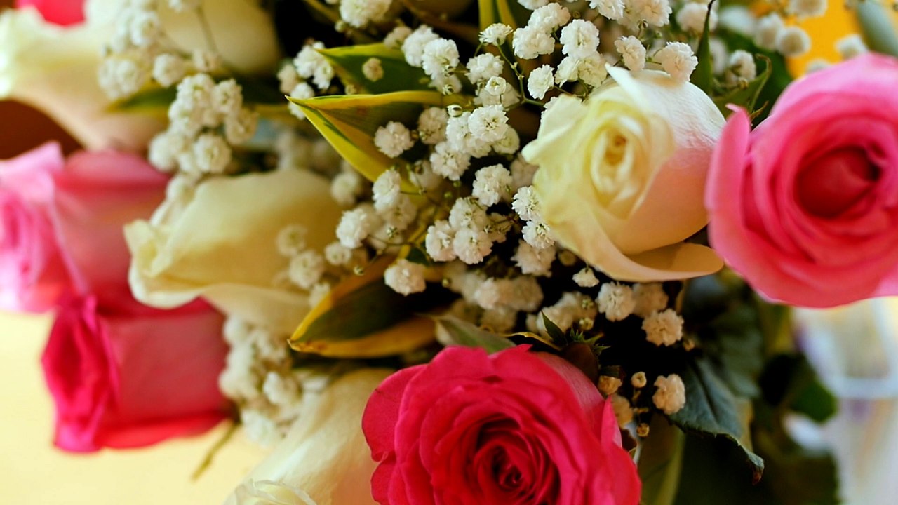 Mala Yacht Rental Dubai - Rent Boat in Dubai